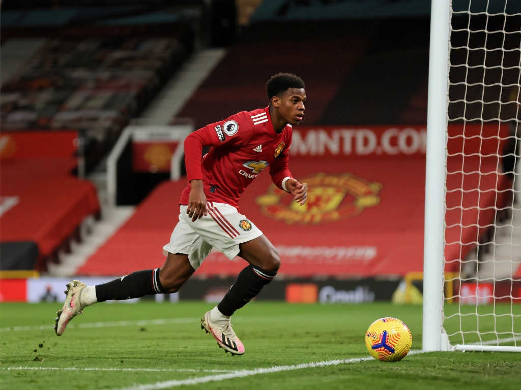 和适应能力 和适应能力