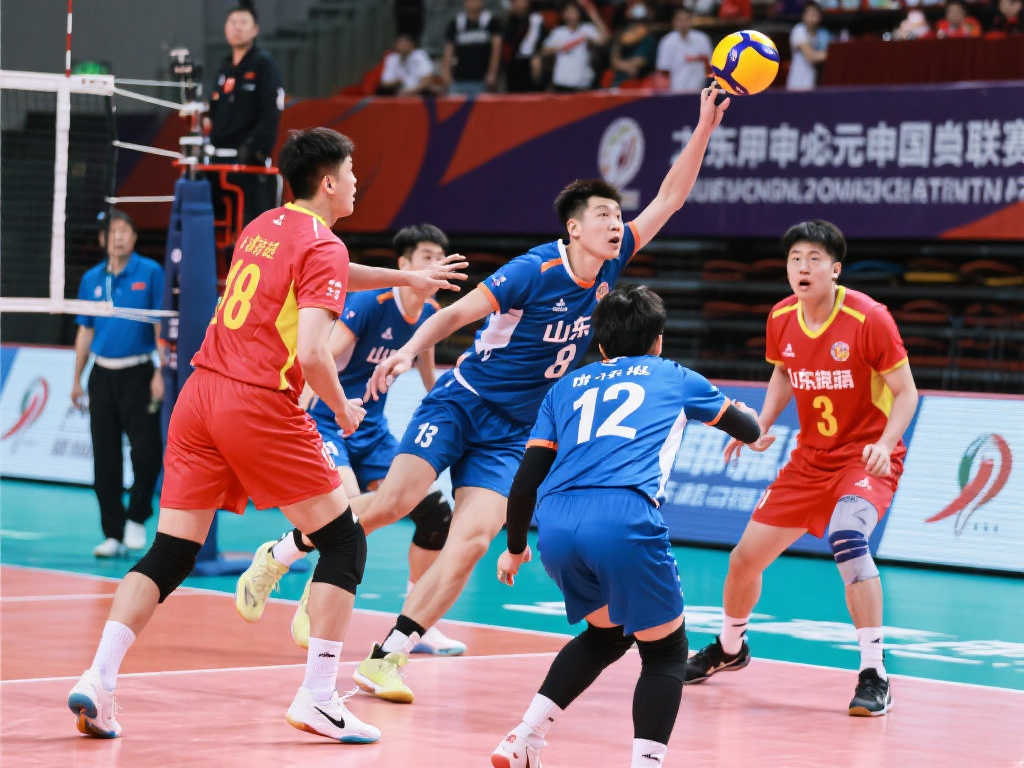 他的经验将 他的经验将