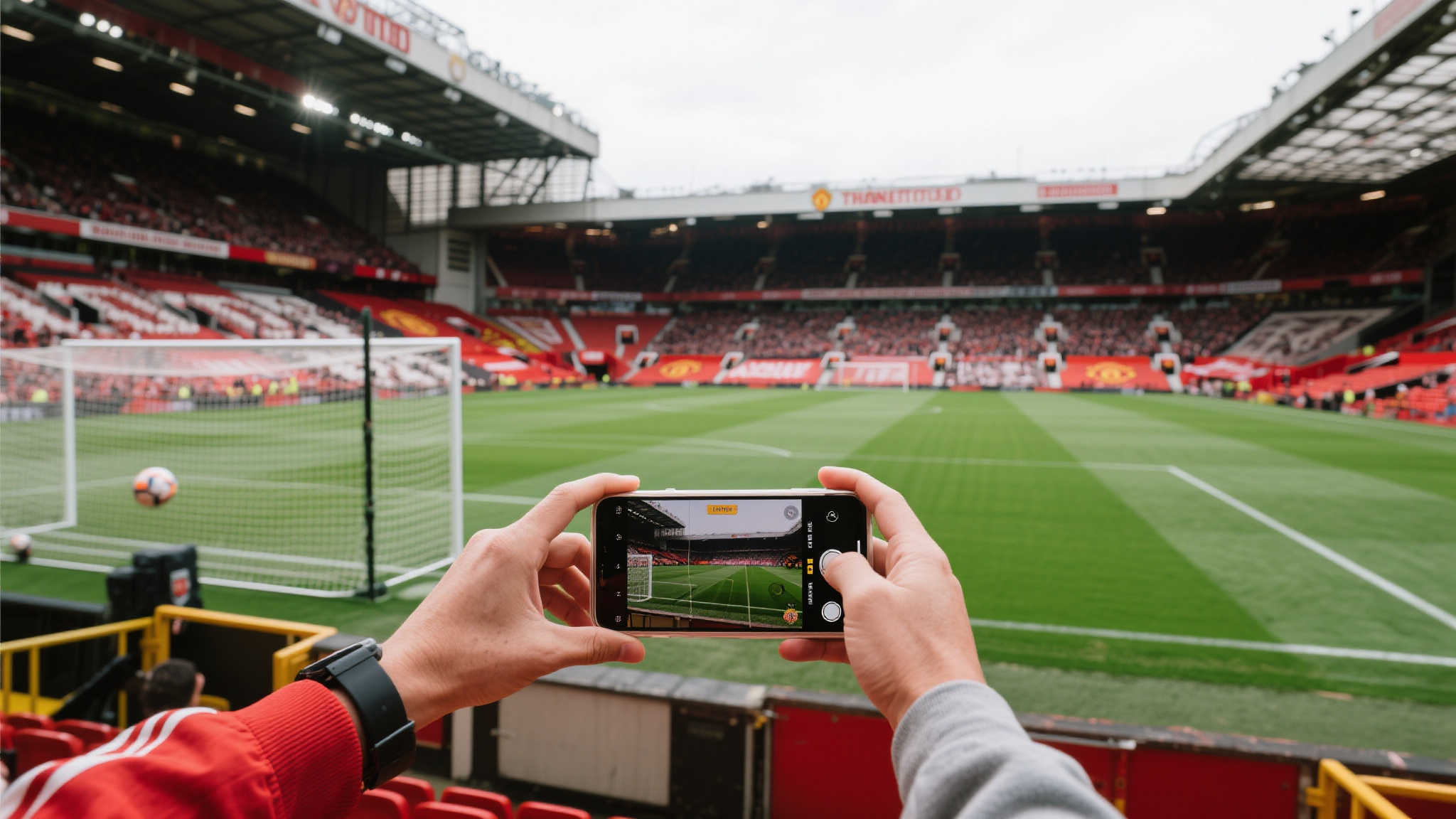 的绿色海洋 的绿色海洋